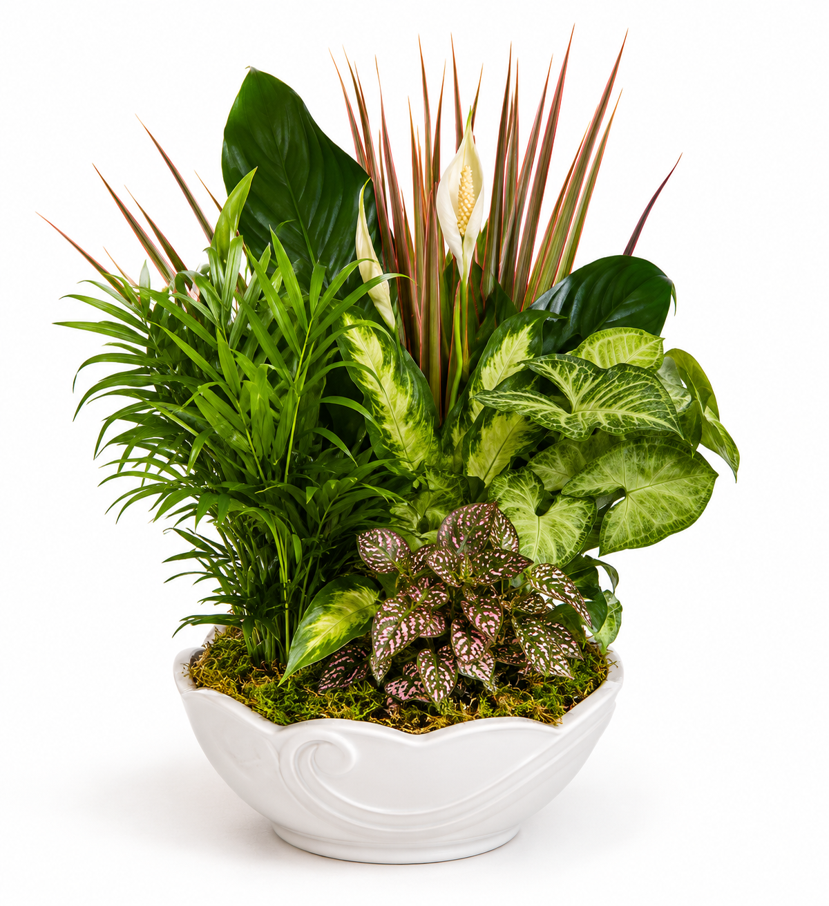 BF-1084- TROPICAL SERENITY GARDEN FLOWER