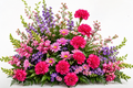 BF-1032- FLORAL FANTASY